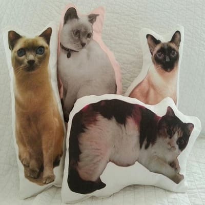 presentes para amantes de gatos que são perfeitos em todos os sentidos-07