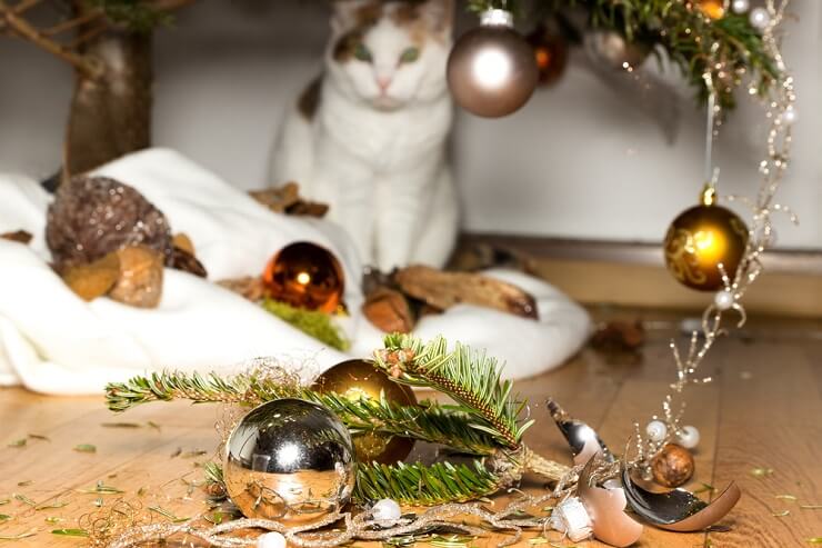 Como manter seu gato fora de sua árvore de Natal - 02