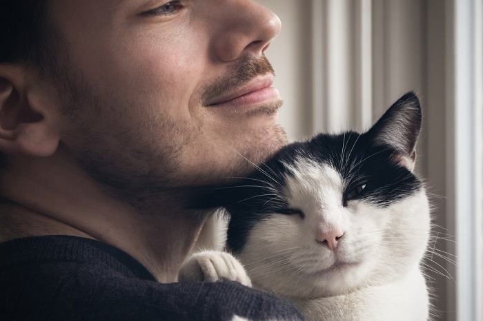 gatos têm sentimentos por seus donos - 02