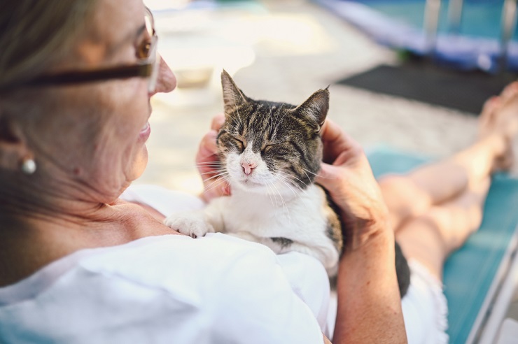 150 melhores nomes de gatos velhos - 02