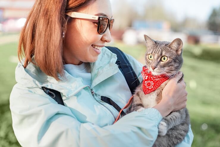 150 melhores nomes de velhinhas para gatos - 01