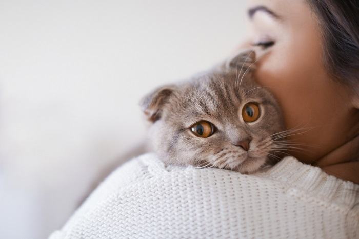 150 melhores nomes latinos para gatos machos e fêmeas com significados - 02