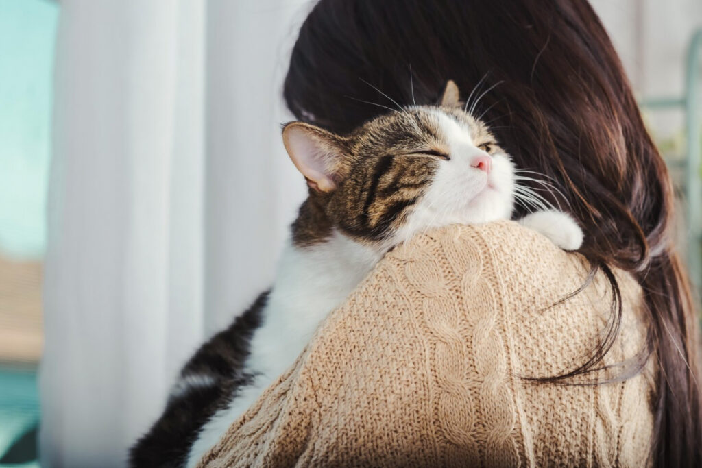 150 melhores nomes latinos para gatos machos e fêmeas com significados - 03