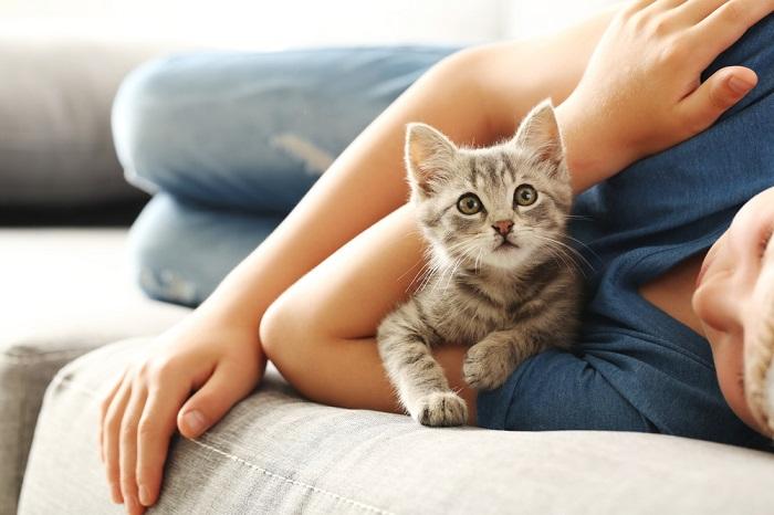 150 melhores nomes latinos para gatos machos e fêmeas com significados - 07