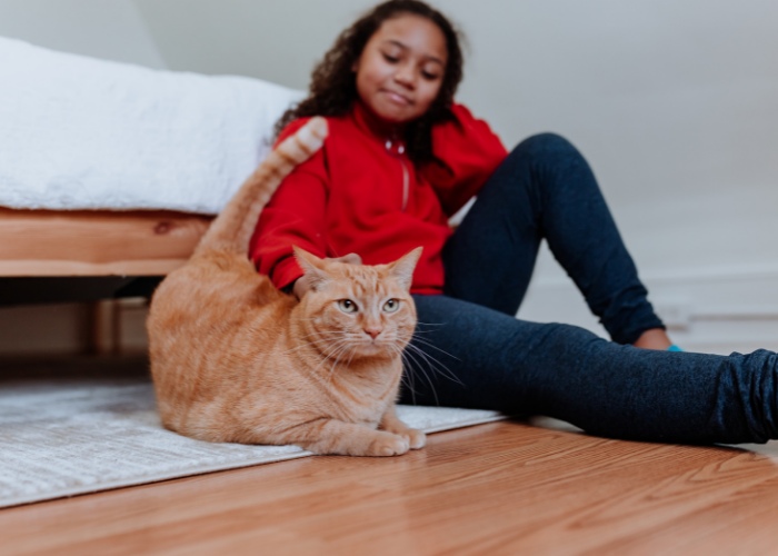 3 razões pelas quais os gatos colocam suas bundas na sua cara - 03