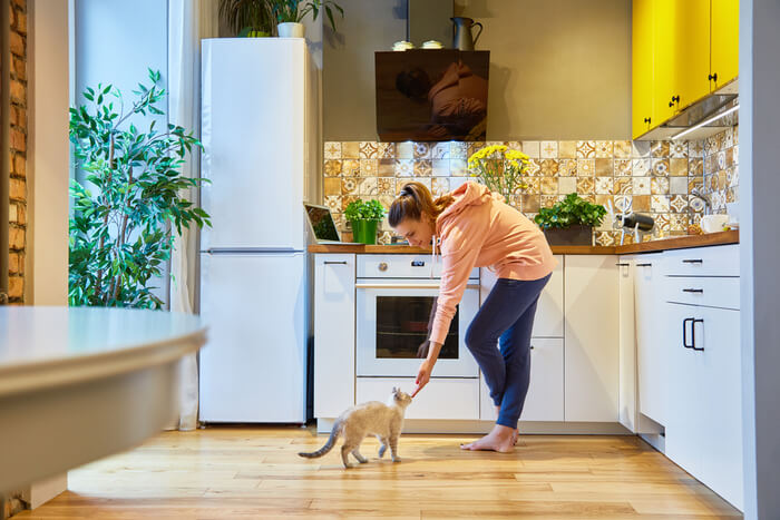 5 dicas simples para manter os gatos longe dos balcões - 07