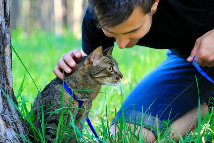 Como treinar um gato para andar na coleira - 05