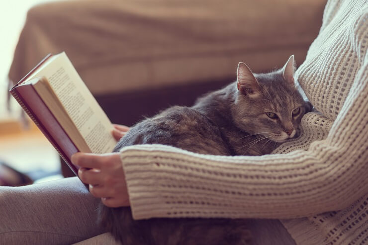 Nova pesquisa prova que ter um gato faz bem ao coração - 03