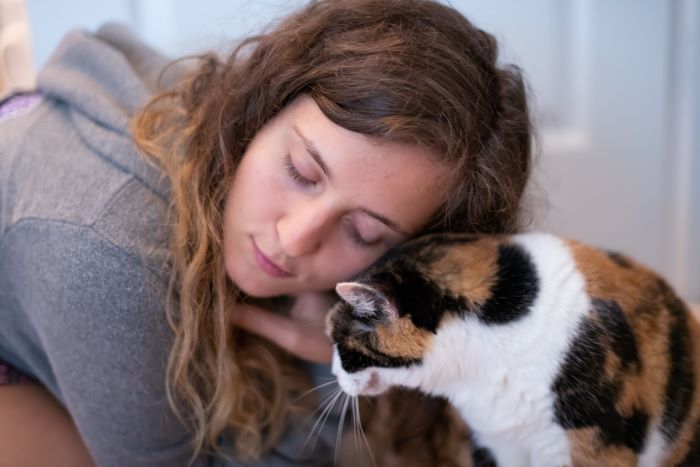 O que é conversa de gato e por que os gatos fazem isso - 05