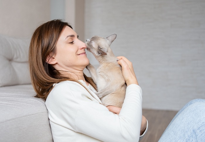 Os gatos sentem falta de seus donos quando eles estão fora - 01