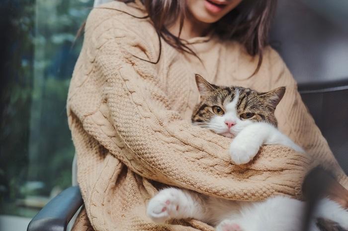 Os gatos sentem falta de seus donos quando eles estão fora - 02