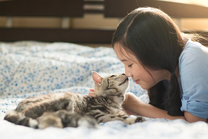 Os gatos sentem falta de seus donos quando eles estão fora - 04