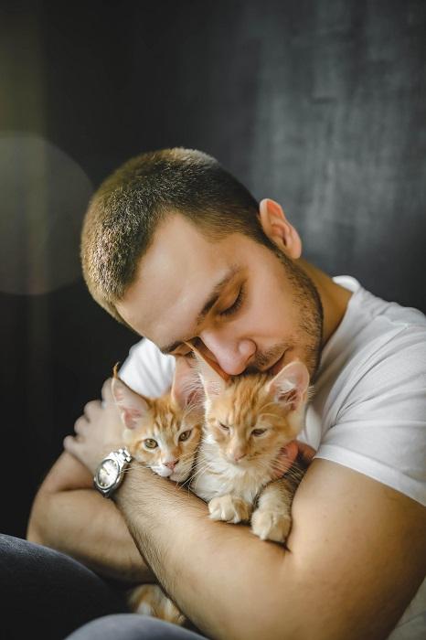 Por que os gatos gostam de abraçar e aconchegar 6 principais razões - 06