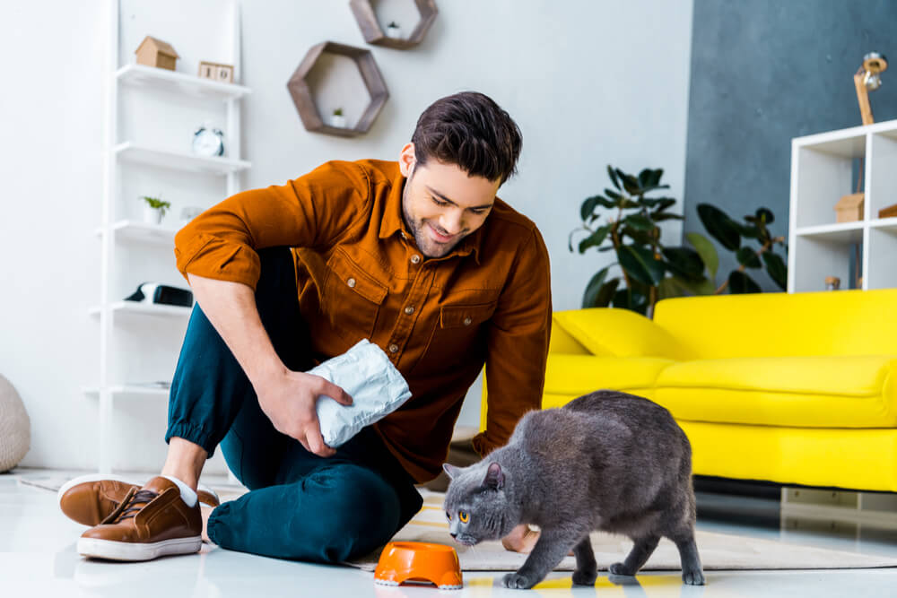 Quanto os gatos devem comer e com que frequência - 03