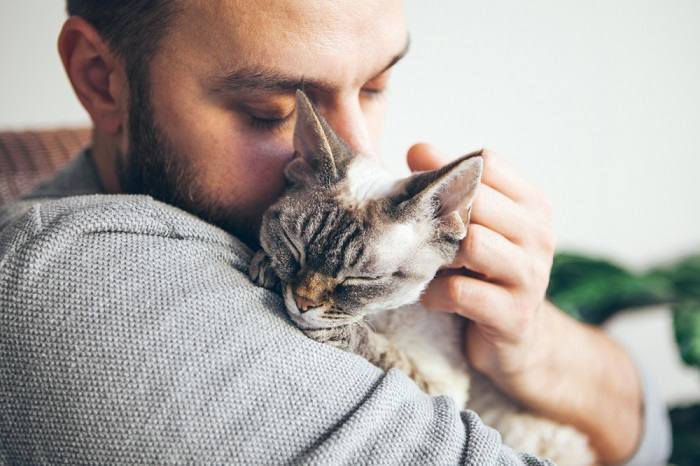 gatos choram quando estão tristes ou com dor - 14