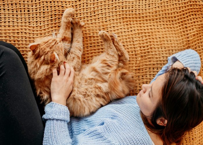 5 razões para adotar um gato com necessidades especiais - 04