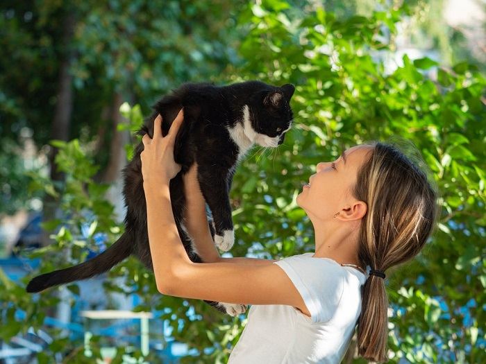 7 maneiras pelas quais você pode estar ofendendo seu gato - 02