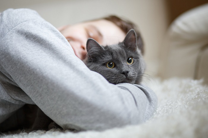 7 maneiras pelas quais você pode estar ofendendo seu gato - 03