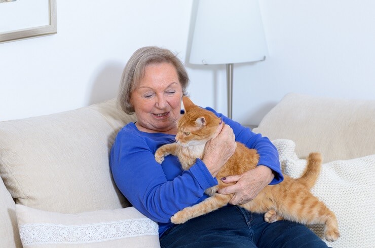 Meu gato não me deixa em paz – 5 razões possíveis - 05