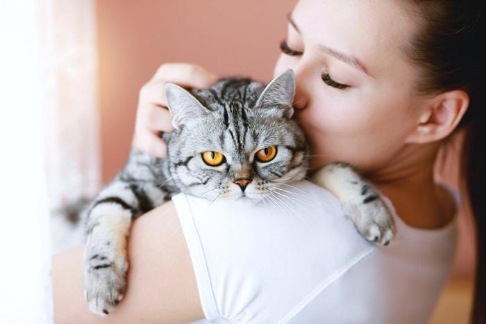 Por que os gatos comem cabelo humano - 01