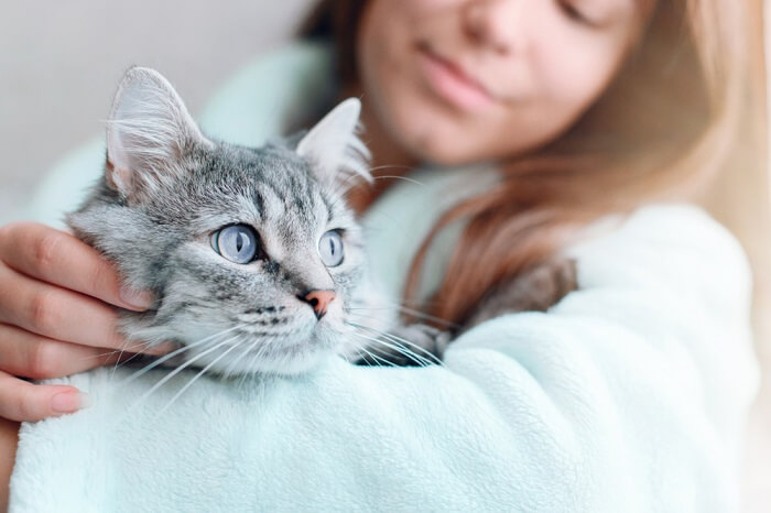 Por que os gatos comem cabelo humano - 03