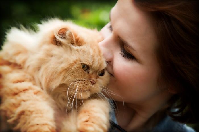 Por que os gatos comem cabelo humano - 07