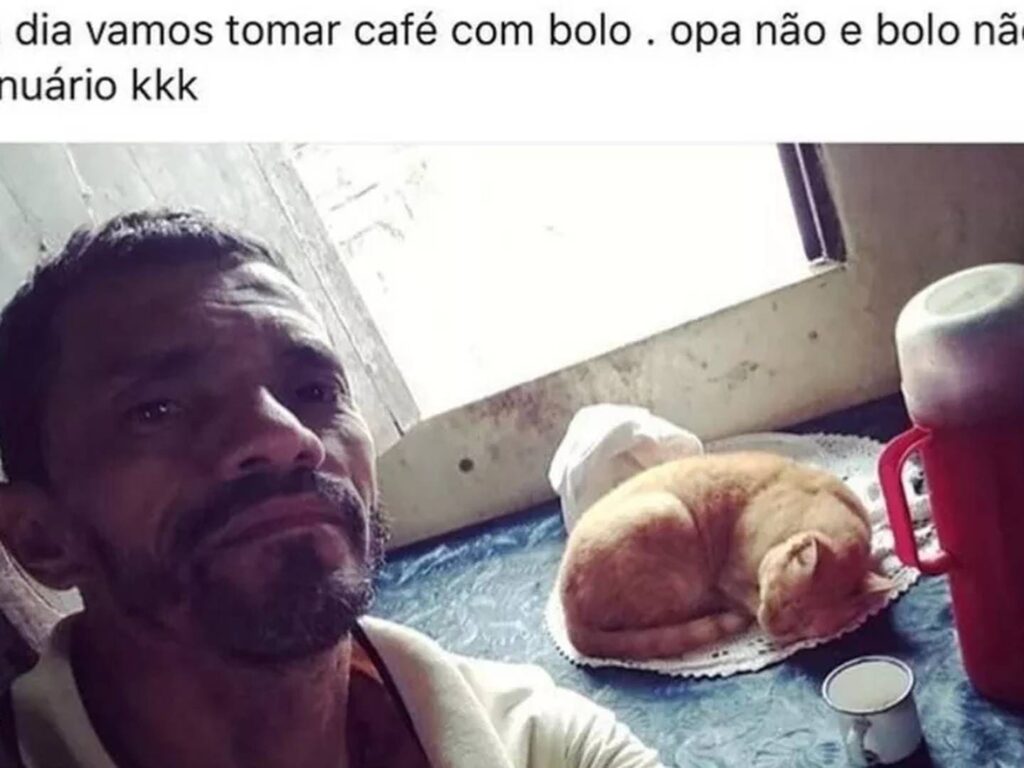 Memes de Gatos-02