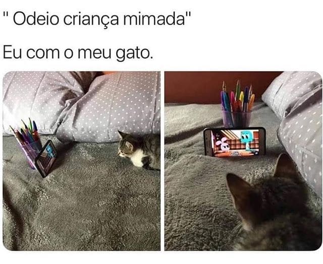 Memes de Gatos-04