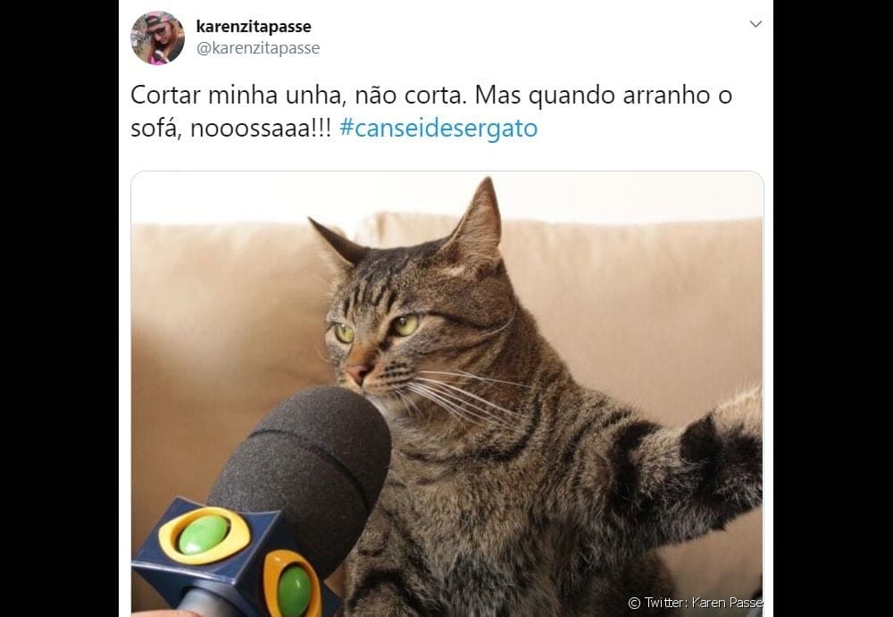 Memes de Gatos-06