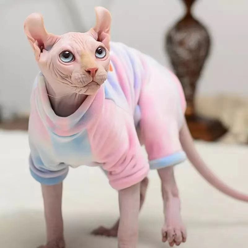 Sphynx 05